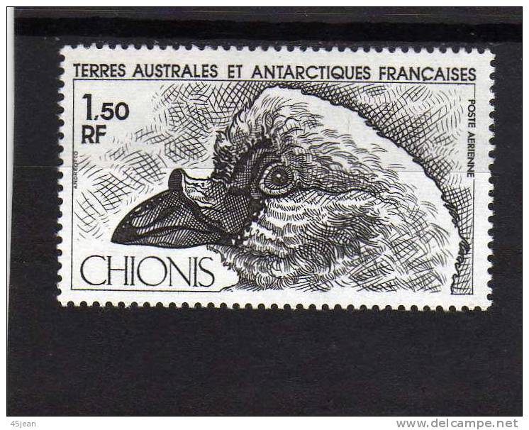 T.A.A.F: 1981 PA N° 67 N ** Oiseau Chionis - Unused Stamps