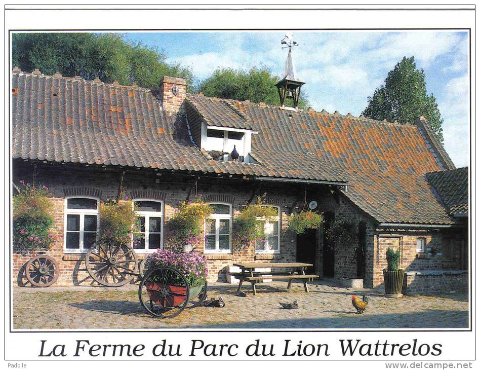 Carte Postale 59. Wattrelos La Ferme Du Parc Du Lion Coq Trés Beau Plan - Wattrelos