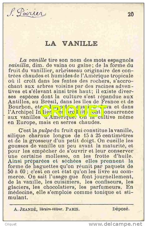 Ancienne Chromo Illustrée Cadre Doré , La Vanille, éd Jeandé N° 20 - Autres & Non Classés