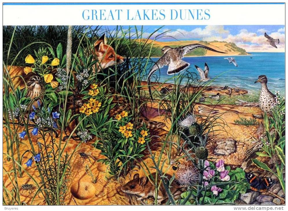 Entier Postal De 2008 Sur Carte Postale Avec  Timbre Et Illust. "Great Lakes Dunes " - 2001-10