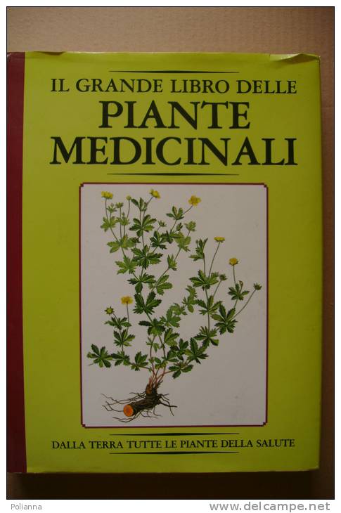 PEQ/3 IL GRANDE LIBRO DELLE PIANTE MEDICINALI Vallardi 1984/ERBORISTERIA/BOTANICA - Jardinage