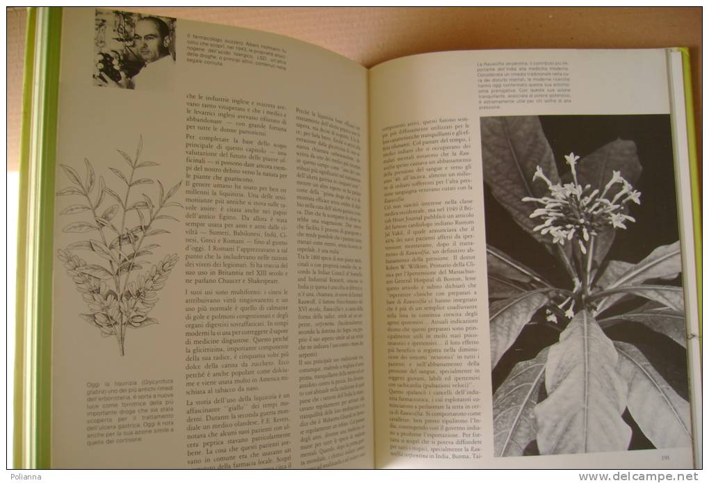 PEQ/3 IL GRANDE LIBRO DELLE PIANTE MEDICINALI Vallardi 1984/ERBORISTERIA/BOTANICA - Gardening