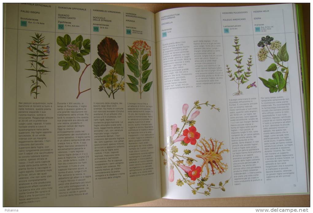 PEQ/3 IL GRANDE LIBRO DELLE PIANTE MEDICINALI Vallardi 1984/ERBORISTERIA/BOTANICA - Jardinería