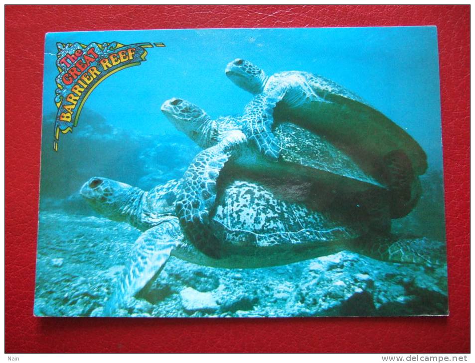 ANIMAUX - TORTUES - AUSTRALIE - THE CREAT BARRIER REEF - ACCOUPLEMENT.... - Schildkröten