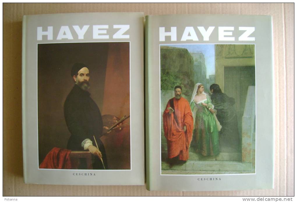 PEQ/17 2 Vol.cofanetto Giorgio Nicodemi HAYEZ Ceschina 1962/ARTE 800/PITTURA - Kunst, Antiquitäten