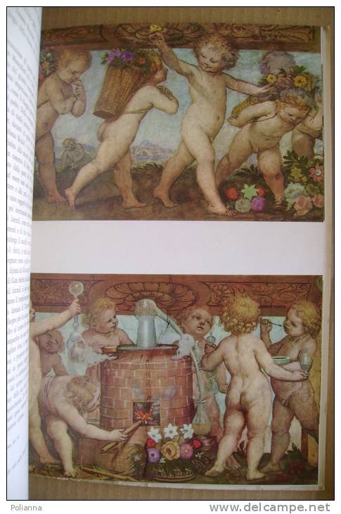 PEQ/17 2 Vol.cofanetto Giorgio Nicodemi HAYEZ Ceschina 1962/ARTE 800/PITTURA - Arts, Antiquity