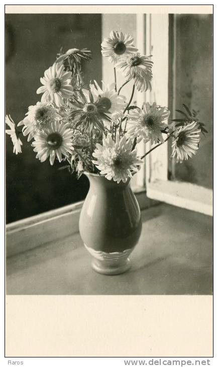 A Vase On A Window - Porzellan