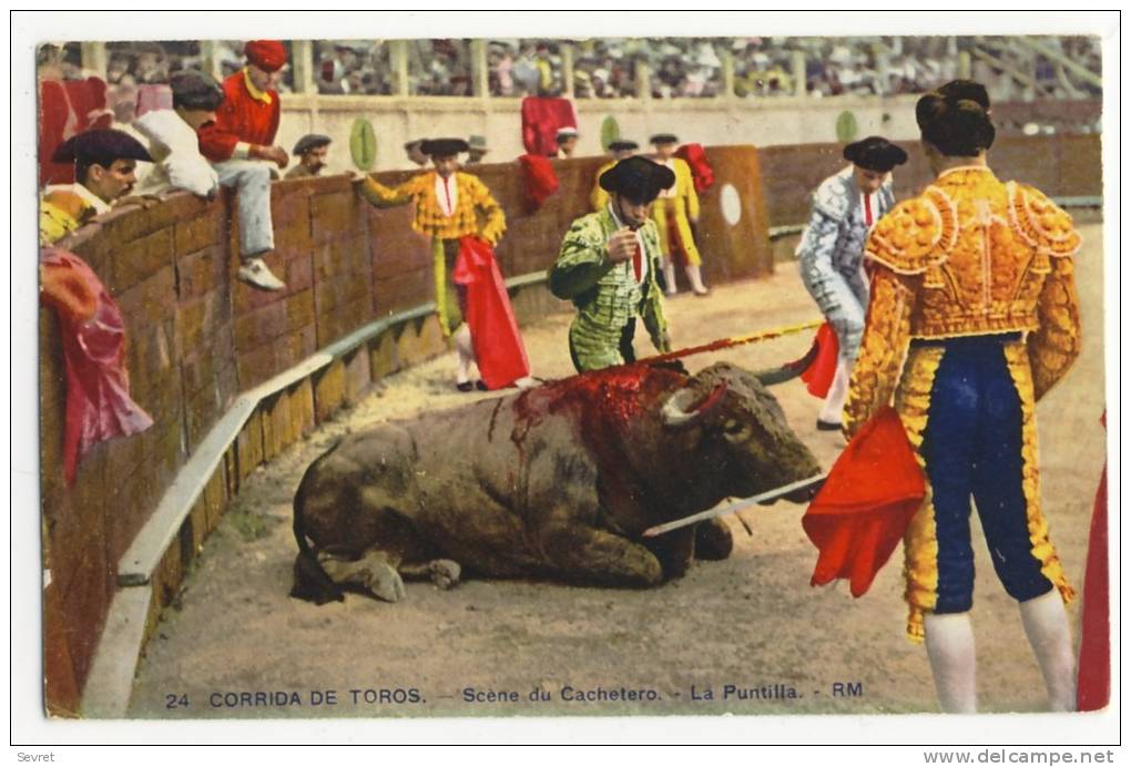 COURSES DE TAUREAUX. - Scène Du Cachetero. - La Puntilla - Corridas