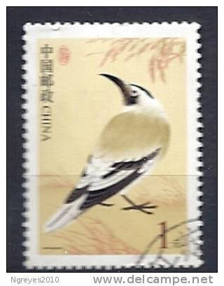 CHN0680 LOTE CHINA  YVERT 3972 - Used Stamps