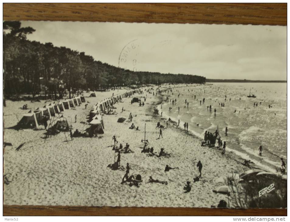 17 - RONCE-les-BAINS - La Plage. (CPSM) - Autres & Non Classés