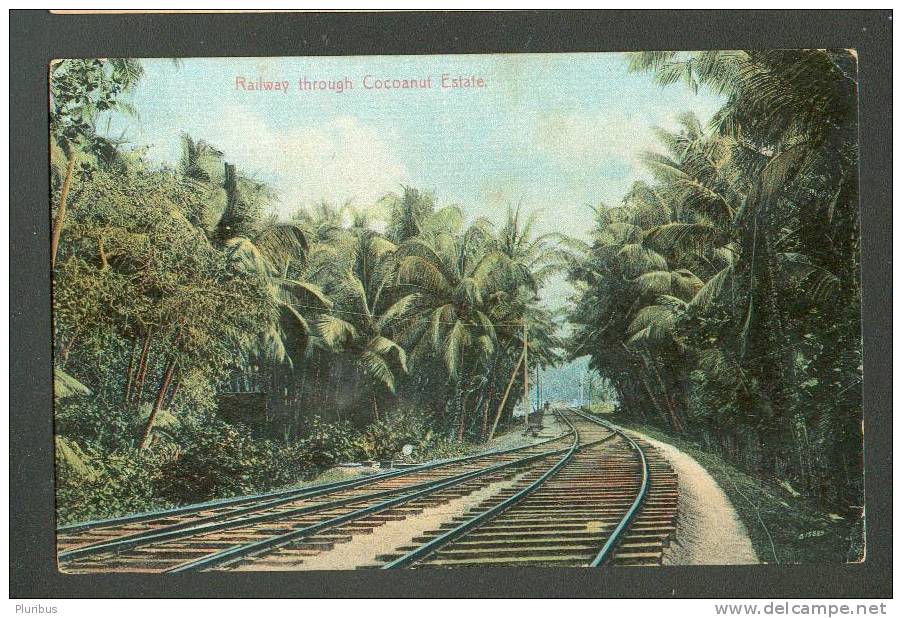 SRI LANKA  CEYLON  RAILWAY THROUGH COCOANUT ESTATE ,  OLD POSTCARD - Sri Lanka (Ceylon)