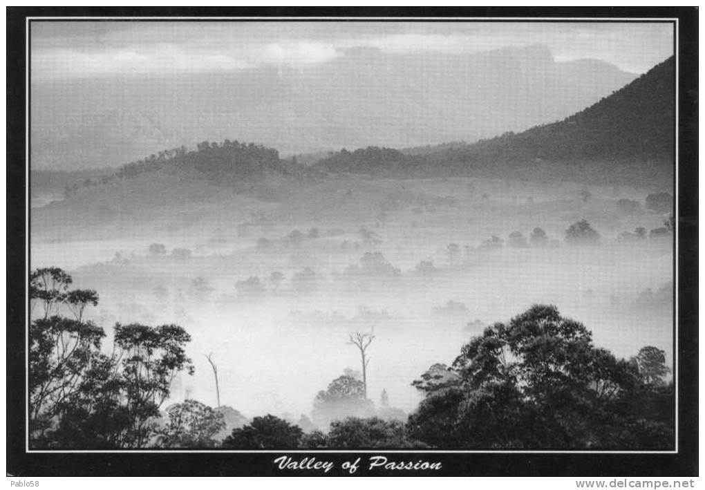 BORDER RANGES NATIONAL PARK - NIMBIN VALLEY   Unesco Heritage - Northern Rivers