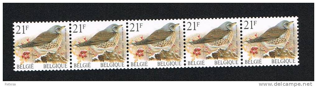 BELGIE  KRAMSVOGEL  STROOK VAN 5 ZEGELS MET 5 CIJFERS( 01635 )  2000 ** - Coil Stamps