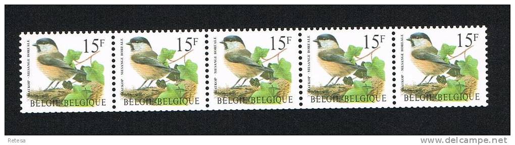 BELGIE  VOGEL  MATKOP  STROOK VAN 5 ZEGELS MET 5 CIJFERS ( 08275 )  1997 ** - Coil Stamps