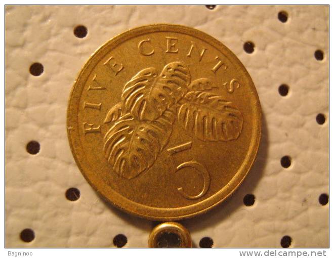 SINGAPORE 5 Cents 1987 - Singapore