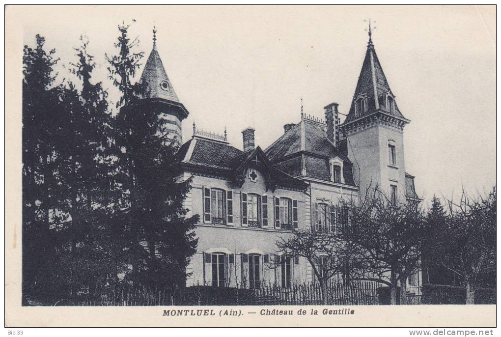 MONTLUEL.  _  Chateau De La Gentille. Petite Corne Haut Droit Du Au Classement Dans Album - Montluel