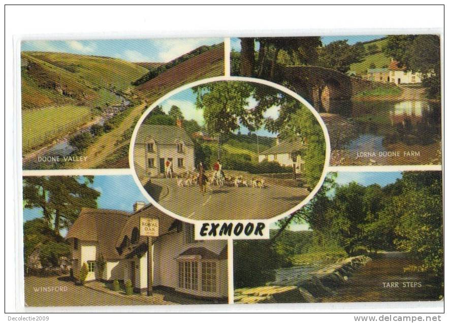 ZS28289 Exmoor Multiviews Not Used Perfect Shape Back Scan At Request - Exeter