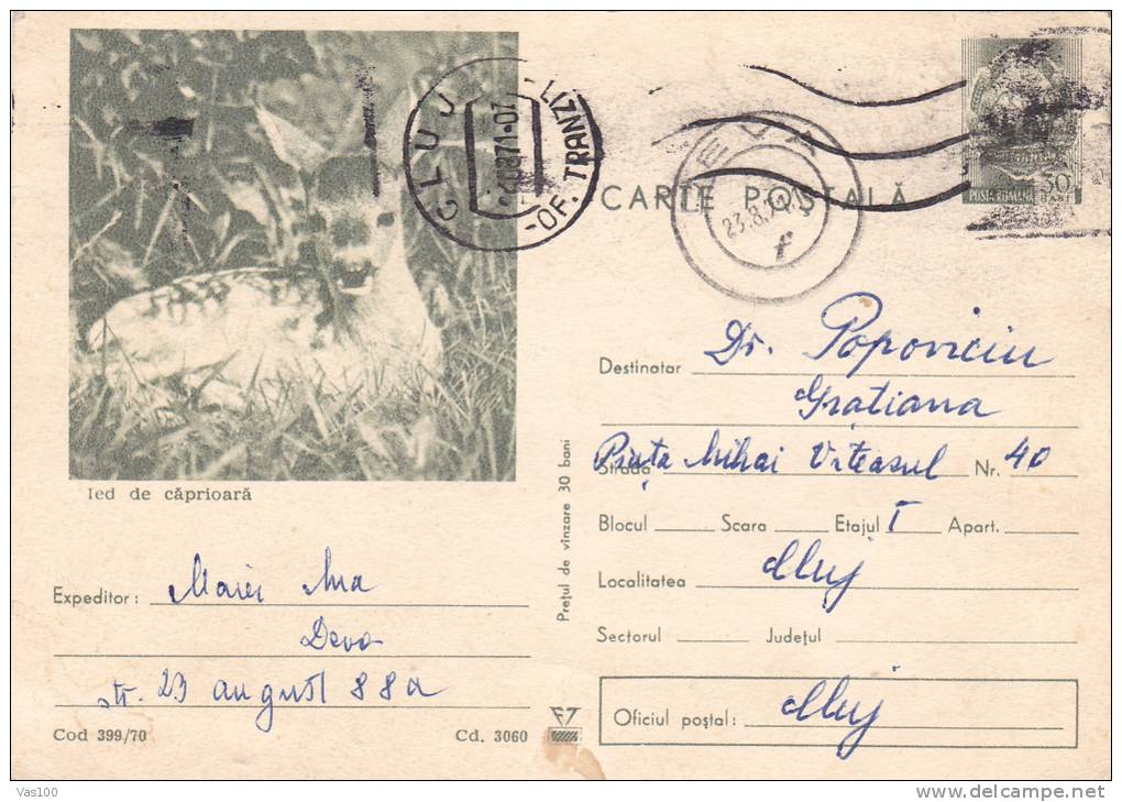 SMALL DEER, 1970, CARD STATIONERY, ENTIER POSTAL, SENT TO MAIL, ROMANIA - Selvaggina