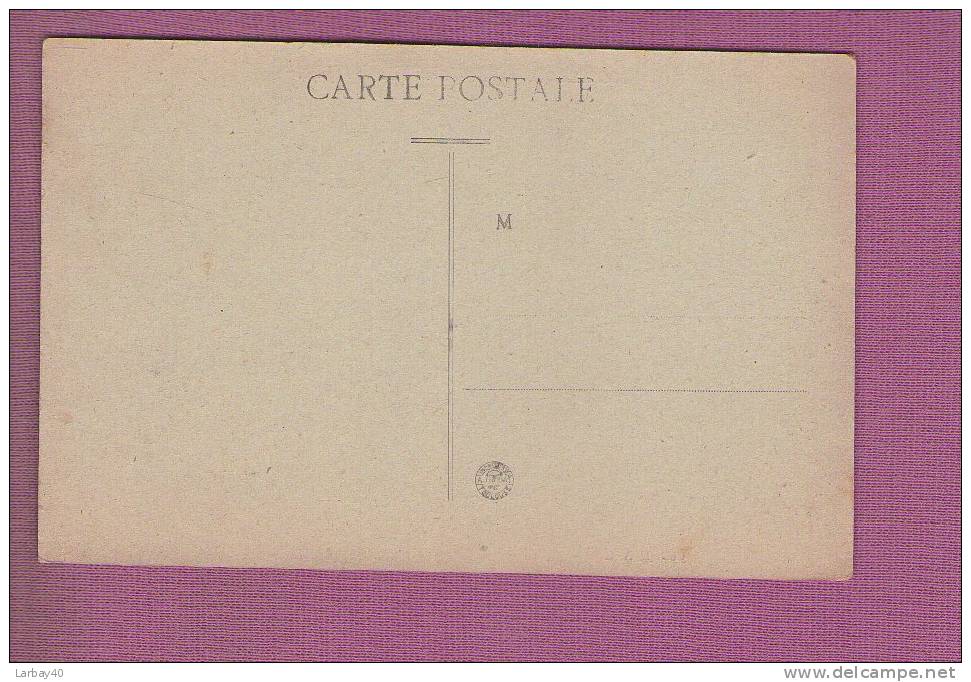 1 Cpa MALLEMORT - Vue Générale Du Pont Suspendu - Mallemort