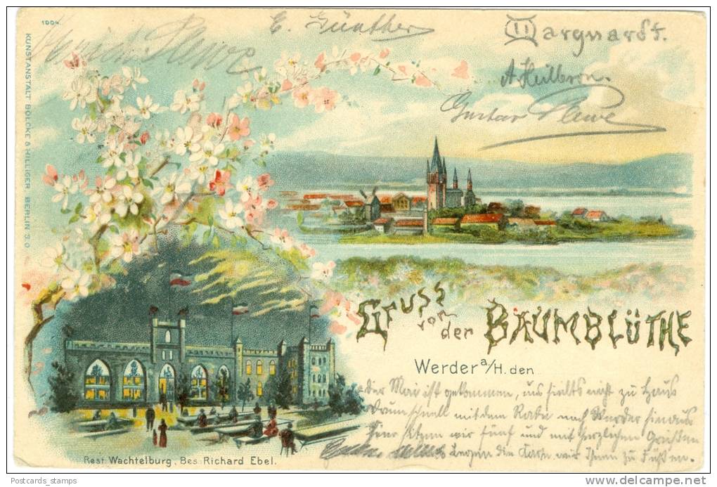 Werder A.d. Havel, Baumblüte, Farb-Litho, 1898 - Werder