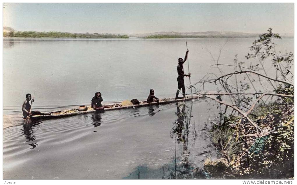 Congo Belge, Pirague Sur Le Fleuve, Um 1950 - Sonstige & Ohne Zuordnung