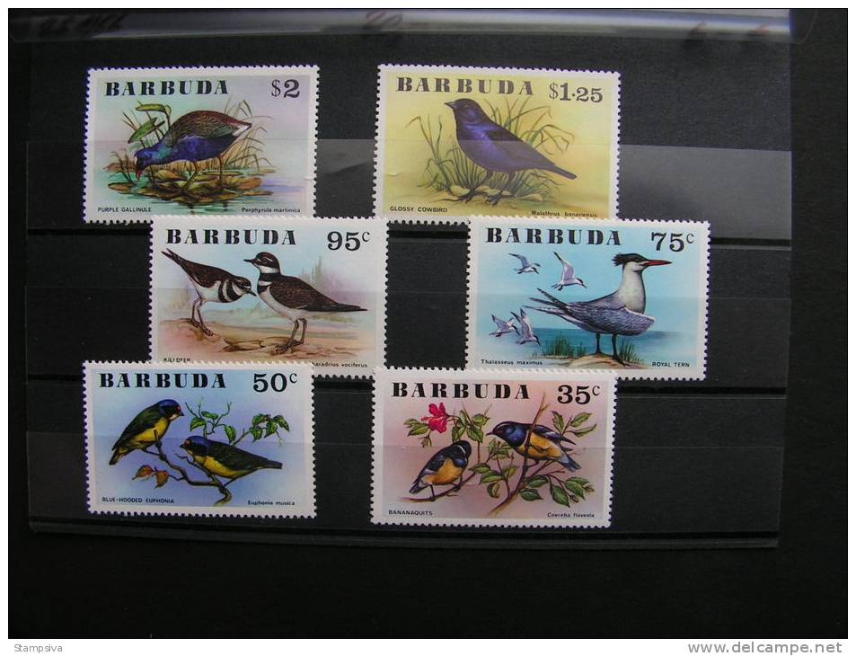 == Barbuda 1976 Birds 261-266  ** MNH  Michel €  20,00 - Antigua Und Barbuda (1981-...)