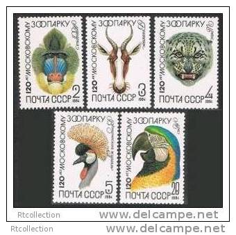 USSR Russia 1984 120th Anniversary Moscow Zoo Mandrill Blesbok Snow Leopard Crowned Crane Macaw Fauna Michel 5356-5360 - Cranes And Other Gruiformes