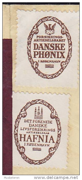 Denmark SØNDERBORG (Sonderburg) Alsen 1928 Cover Commercial Labels / Vignettes R1 + R2 (3 Scans) - Briefe U. Dokumente