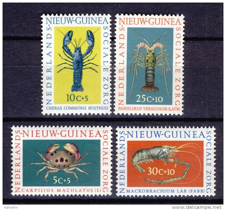Netherlands / Nederlands New / Nieuw Guinea 1962, Lobster - Kreeft - Crustaceans **, MNH - Netherlands New Guinea