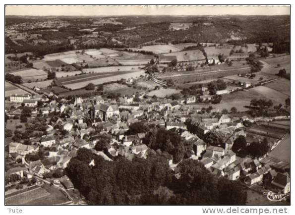 SALVIAC VUE GENERALE ET AERIENNE - Salviac