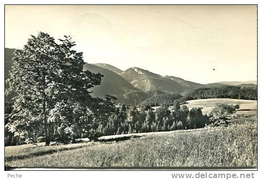 N°18588 -cpsm Mont De Buttes Ne -colonie De Vacances "Bellevue" - Buttes 