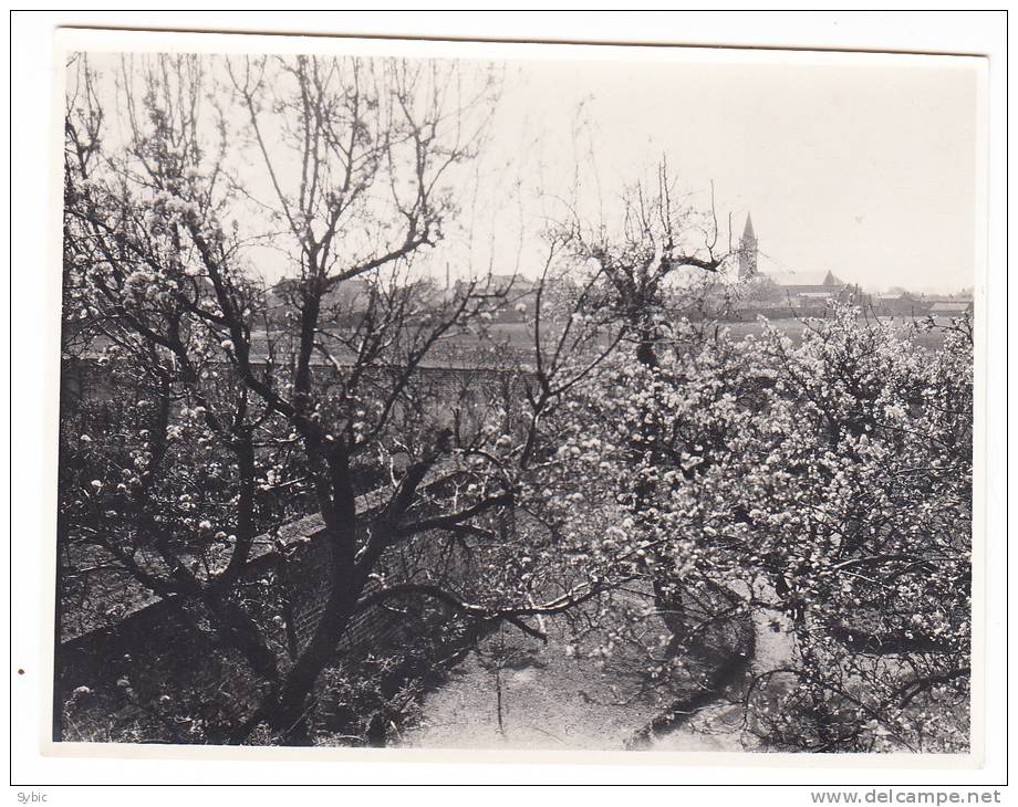 PROVIN  - Photo - Autres & Non Classés