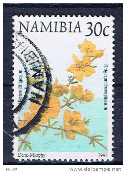 NAM+ Namibia 1997 Mi 879 - Namibia (1990- ...)