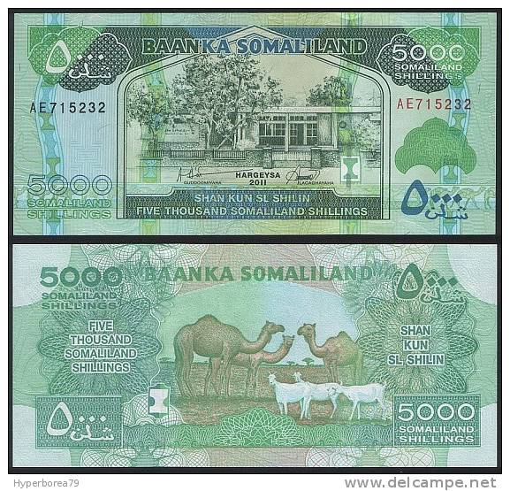 Somaliland P 21 A - 5000 Shillings 2011 - UNC - Altri – Africa