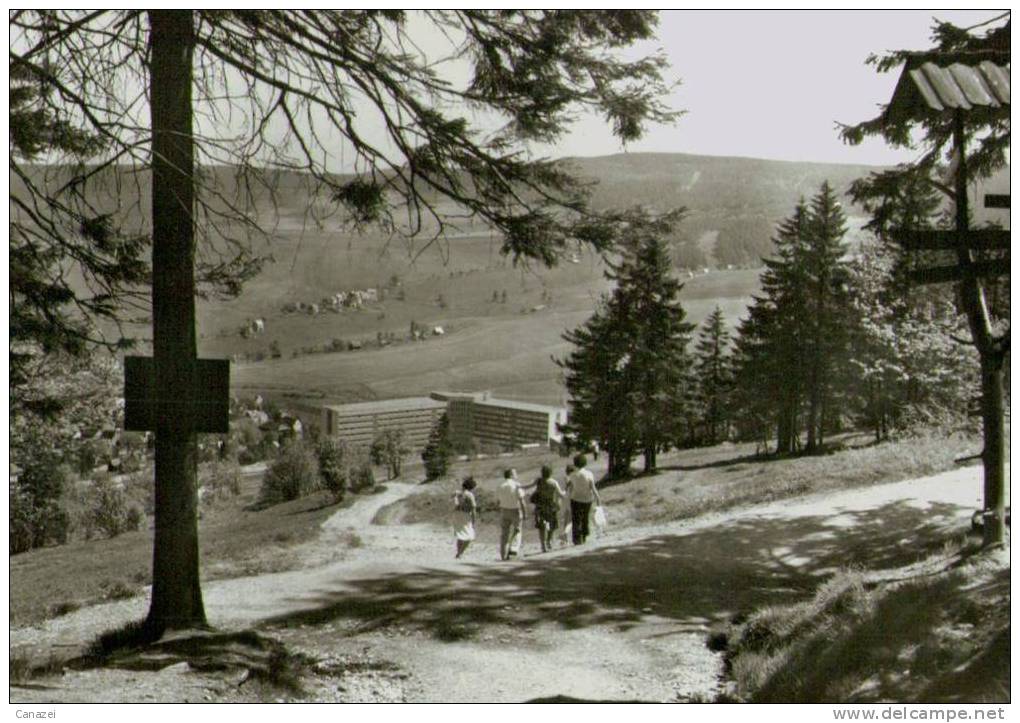 AK Oberwiesenthal, Blick Vom Eckbauer Zum FDGB-Heim, Ung, 1980 - Oberwiesenthal