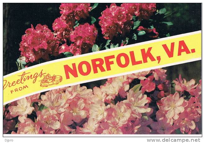 Norfolk  Greetings From - Norfolk