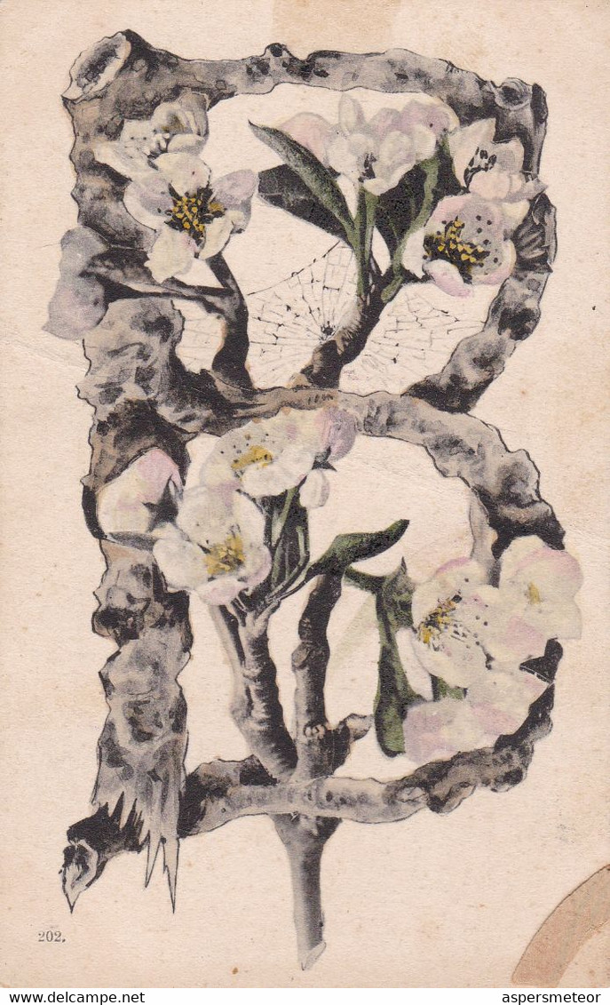 B LETTRE ALPHABET AVEC FLEURS, LETTER FLOWERS LETRA FLORES, FANCY CARDS. CARTE POSTALE CIRCULEE CIRCA 1905's.- LILHU - Voornamen