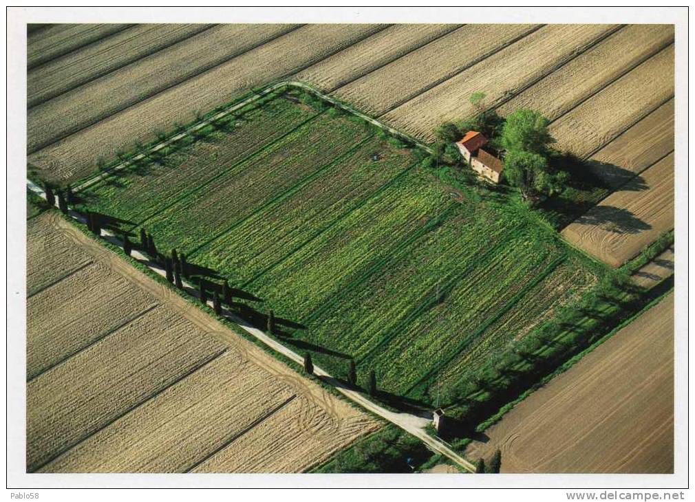 PRATO Casale - Farmhouse - Prato