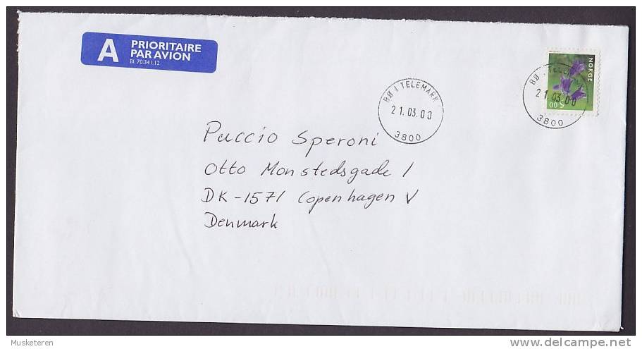 Norway A Prioritaire Airmail Par Avion Label Deluxe BØ I TELEMARK 2000 Cover To Denmark Flower Blume - Covers & Documents