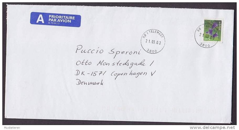 Norway A Prioritaire Airmail Par Avion Label Deluxe BØ I TELEMARK 2000 Cover To Denmark Flower Blume - Brieven En Documenten