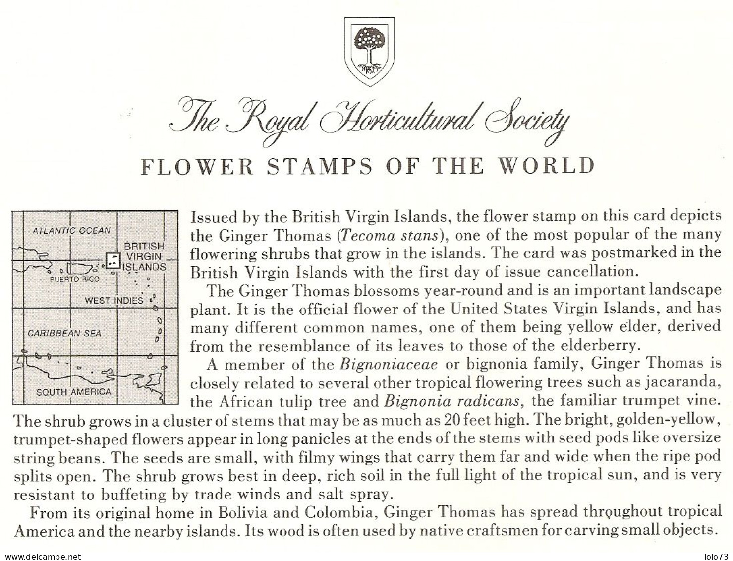 Carte 1er Jour - Brithish Virgin Island - Fleur - Ginger Thomas - Iles Vièrges Britanniques