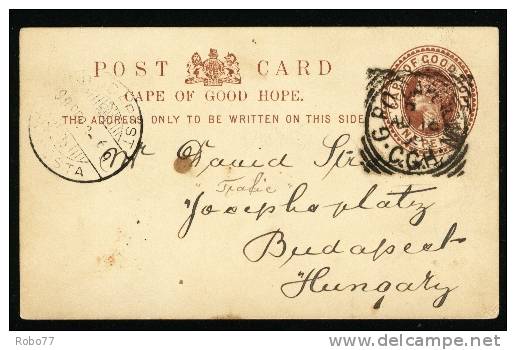 1899 Cape Of Good Hope Postal Card Sent To Hungary, Budapest. Rare!  (H90b004) - Kaap De Goede Hoop (1853-1904)