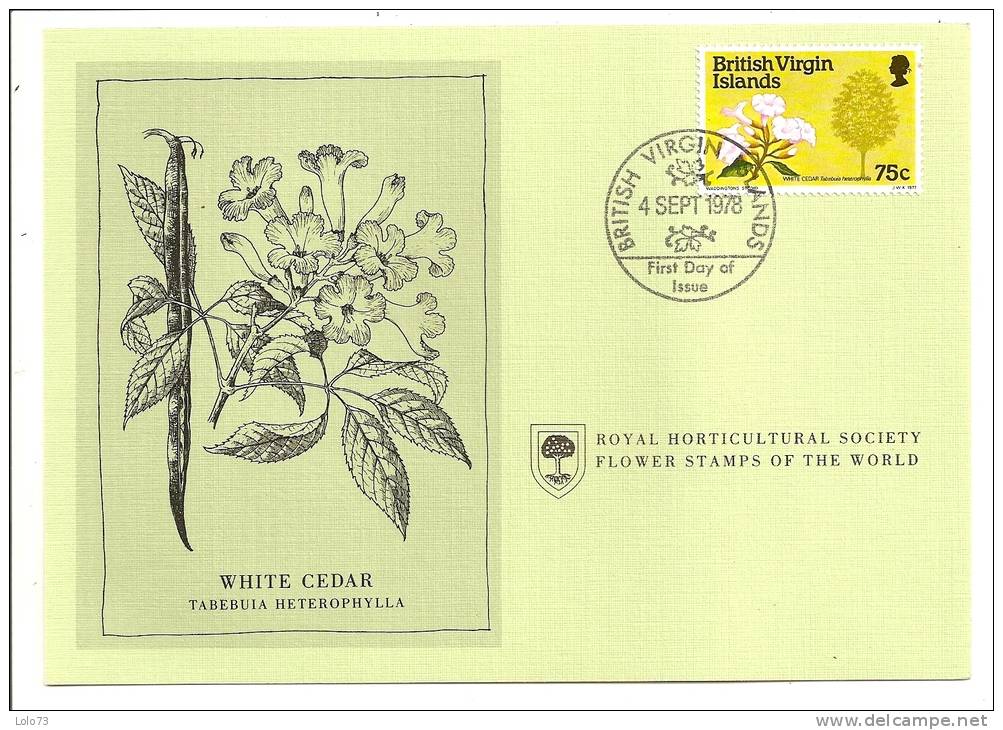 Carte 1er Jour - Brithish Virgin Island - Fleur - White Cedar - Iles Vièrges Britanniques