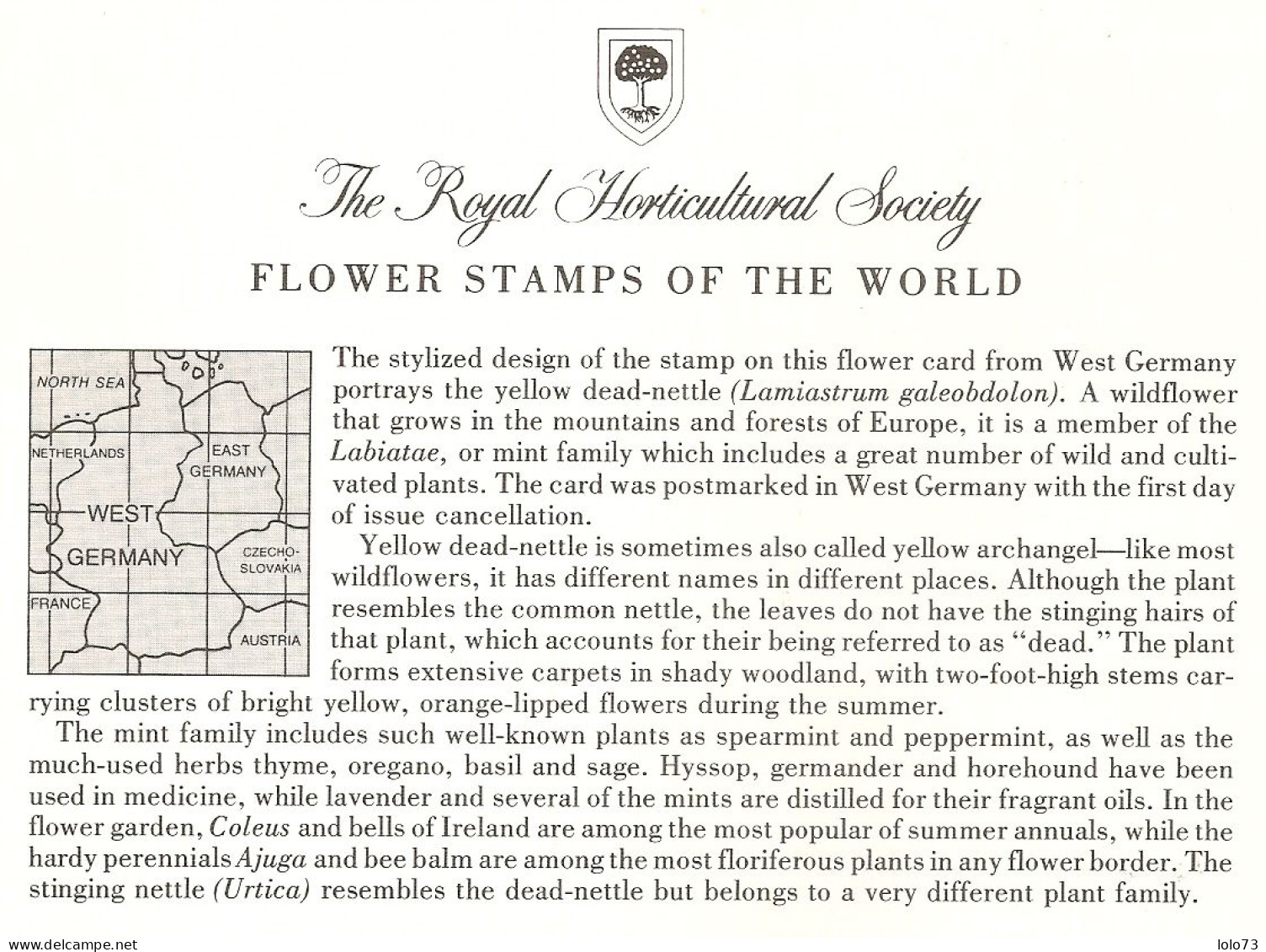 Carte 1er Jour - Allemagne - Fleur - Yellow Dead-Nettle - Other & Unclassified