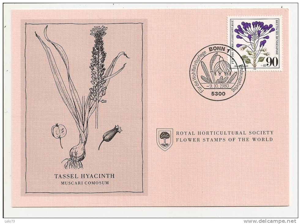 Carte 1er Jour - Allemagne - Fleur - Tassel Hyacinth - Otros & Sin Clasificación