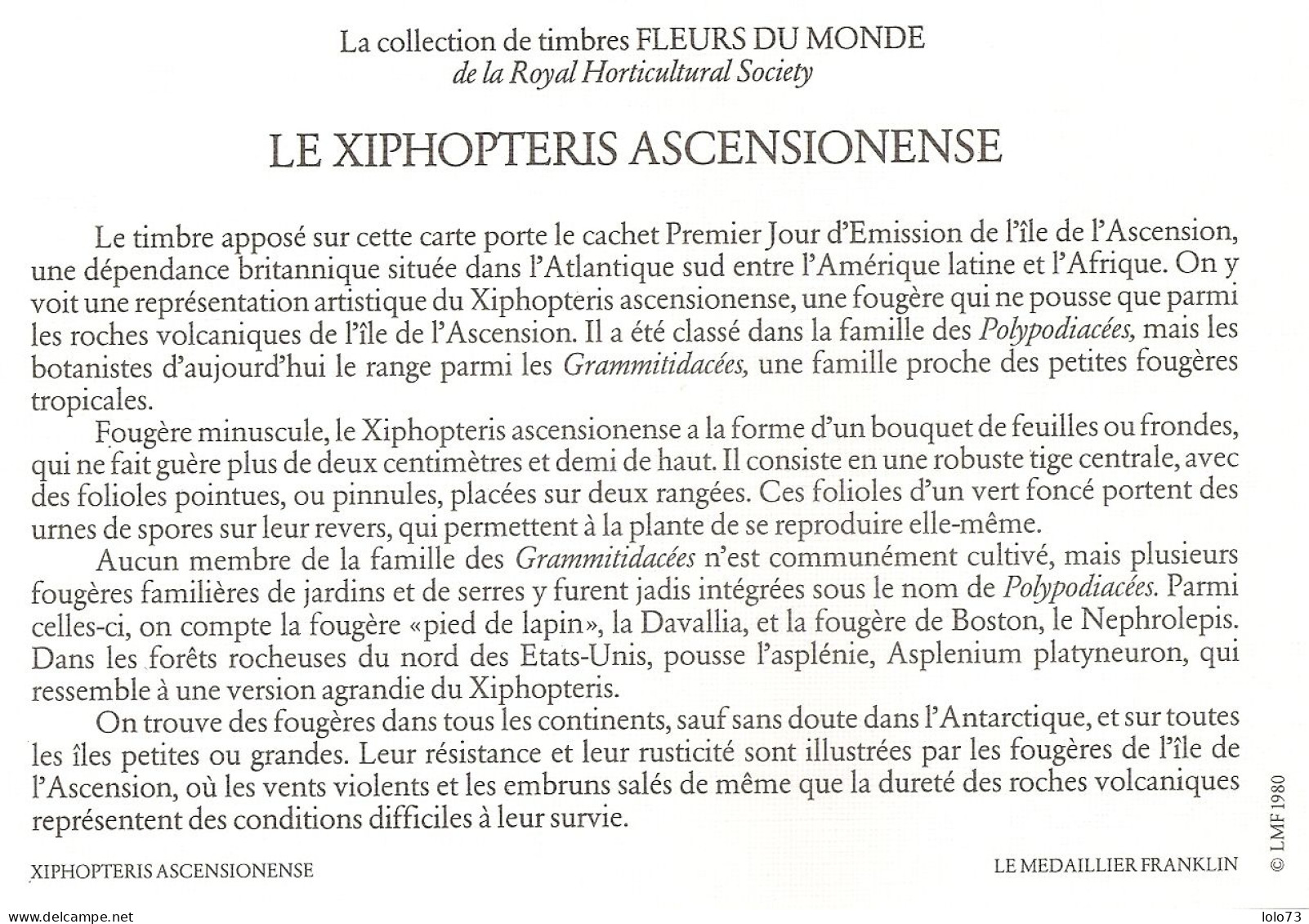 Carte 1er Jour - Ascension  - Fleur - Xiphopteris Ascensionense - Ascension (Ile De L')