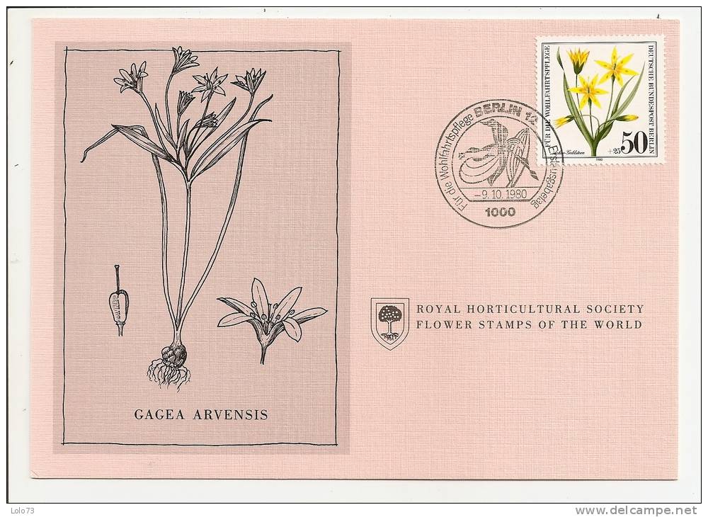 Carte 1er Jour - Allemagne - Berlin - Fleur - Gagea Arvensis - Other & Unclassified