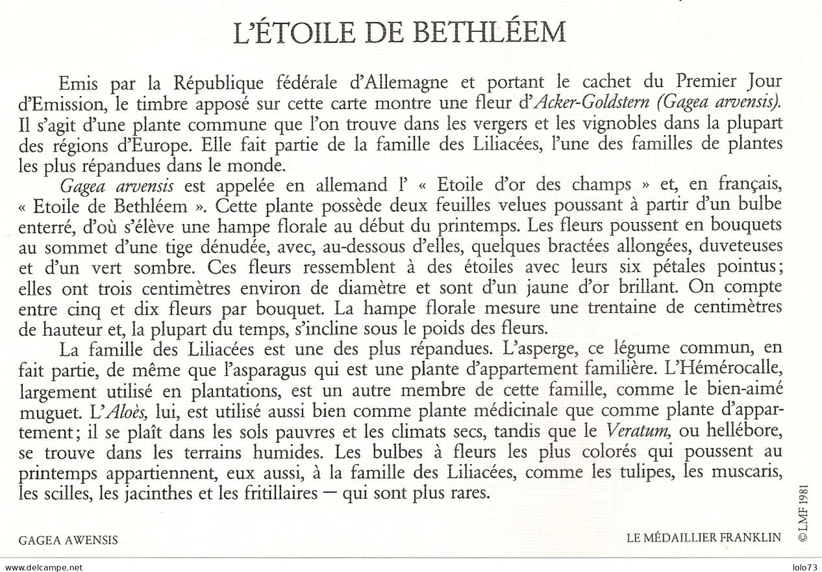 Carte 1er Jour - Allemagne - Berlin - Fleur - Gagea Arvensis - Autres & Non Classés