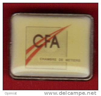 21553-pin's CFA.chambre Des Metiers. - Administraties