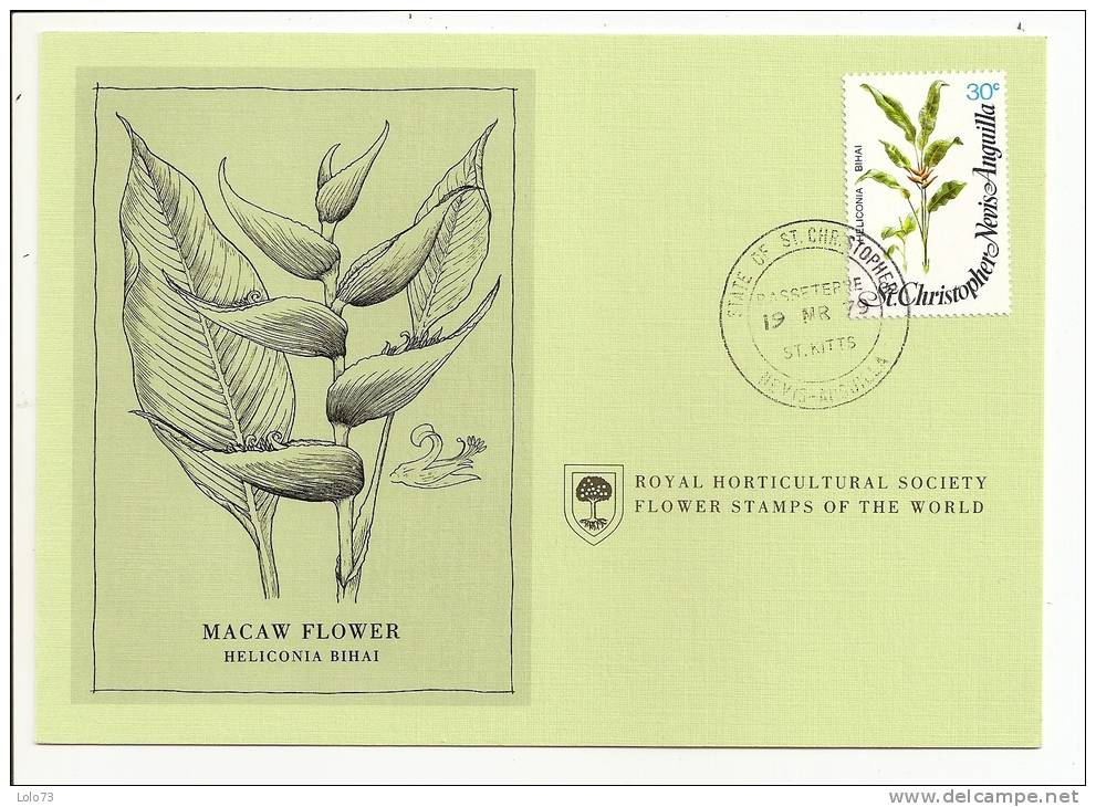 Carte 1er Jour - Saint Kitts - Fleur - Macaw Flower - Anguilla (1968-...)